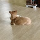 타이씨암레스토랑카페 이미지