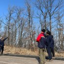 대둔산도립공원 이미지