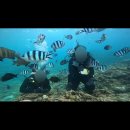 (합)중부가나렌트카 | 🇯🇵 일본 여행 오키나와 3박 4일 일정, 9월말 날씨, 경비 (렌트카 추천, 주유비, 톨비, 환전)