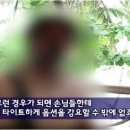 코디여행사 이미지