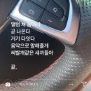 영원포에버
