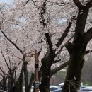 금당사 화장실 이미지