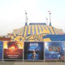 ♡Welcome to Cirque du Soleil 'Quidam'♡ 가정의 달 할인 이벤트 연장 이미지