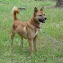 제주섬마리 이미지