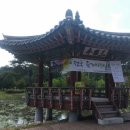 삼락정 Daum카페