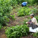 오돌개마을 이미지