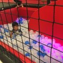 키즈필키즈카페 이미지