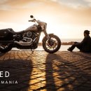 똑똑하개 이미지