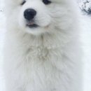 멍블랑 유치원 이미지