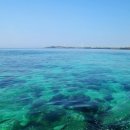 아빠어디가바다낚시 이미지