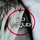 양학동 부학 작은도서관 | 긴손바닥근. 파도바대학 의대교수가 아닌 이발사가 해부하던 시대.그 시체들은 값싼 대가를 지불하거나...