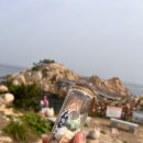 클릭트래블 이미지
