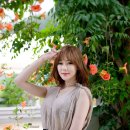 다연 이미지