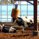 일출목장 이미지