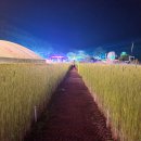 보리광장 이미지