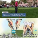 퍼터 입스(YIPS)고칠수 있는 3가지 방법 이미지