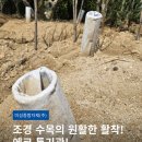 미성 이미지