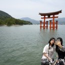 中관광업계, '가보고 싶은 나라' 한국 단체관광 포함에 기대감 이미지