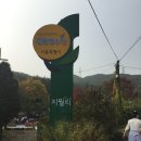 지월농장 | 수아의 친환경농장 지월농장 체험학습 후기^^