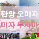 오미 농산물 이미지