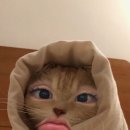 뮤토뷰티