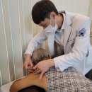 청주자생한방병원 이미지