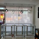 꽃달아줄개 이미지