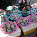 구룡포시장 이미지