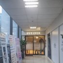 삼성린산부인과의원 | [임신준비] 배란초음파 후기 (삼성 린 산부인과, 분당 산부인과, 판교 산부인과)