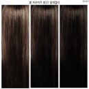 헤어염색 - 창원시 의창구 용잠로 38 | 헤어염색