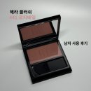 441 | [내돈내산] 헤라 블러쉬 441 로지베일 후기｜남자 블러셔·내장 브러시 vs 다이소 TAG 발색