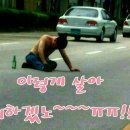 술이좋아 Daum카페