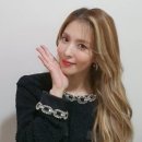 하우헤어 이미지