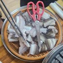 대영장어 이미지