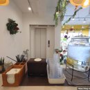 아메리칸트레이 이미지