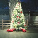 겨울 전주 가볼만한곳 및 전주 여행 코스 ft. 전주 1박2일/전주한옥마을/겨울 여행/감성 여행지
