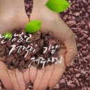 제주이야기비자림점