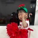 연서 카네이션 이미지