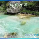 여름 계곡_필모라 템플렛 이미지