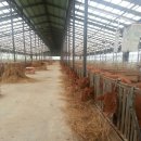 정근목장 이미지