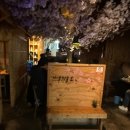 영천시민회관 바닥분 | 영천에서 모임하기 좋은 마츠컴퍼니 메뉴추천 솔직후기