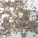 비학농장 이미지