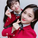 지헌 Daum카페