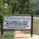 코이노니아 이미지