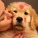 연극 0.72 청년시대 | [연극 후기] 에쿠우스 2/1(일) 18시 막공 관람 후기