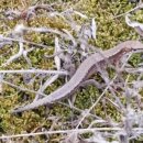 삼마농장 이미지