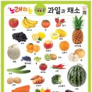 수원아람북스 이미지