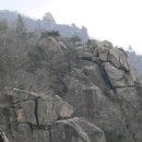 흥양농협남부주유소 이미지