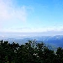 표충사탐방로(=작전도로) | 폭염에도 아름다운 영남알프스 천황산 &amp; 재약산