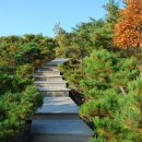 하슬라뮤지엄호텔 이미지